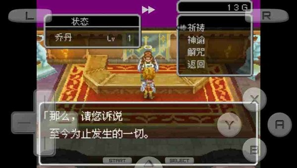 nds勇者斗恶龙9星空的守护者手机版截图2