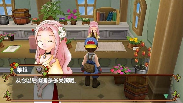 牧场物语蜜糖村与大家的心愿金手指最新版截图1