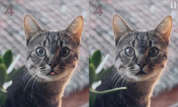 慧眼寻异最新版最新版截图3