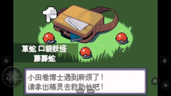 口袋妖怪漆黑的魅影萌娘版金手指截图2