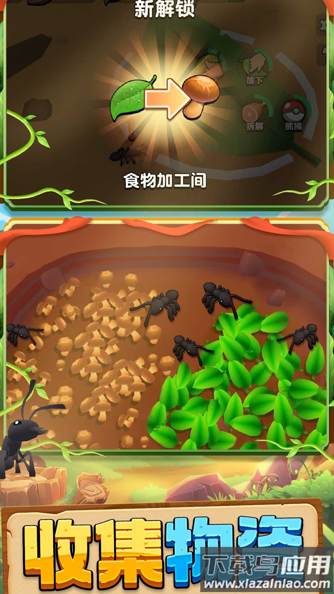 动物王国大冒险最新版截图2