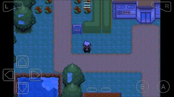 口袋妖怪究极雪之白最新版最新版截图1