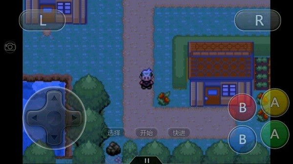 口袋妖怪究极雪之白最新版最新版截图3