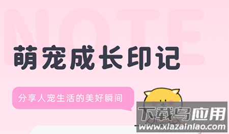 宠布丁线上商城app 宠布丁线上商城app