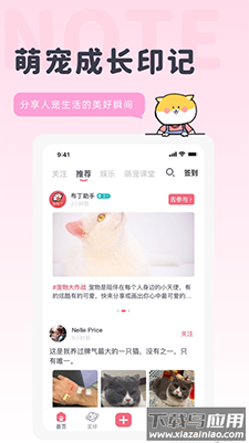 宠布丁线上商城app最新版截图1