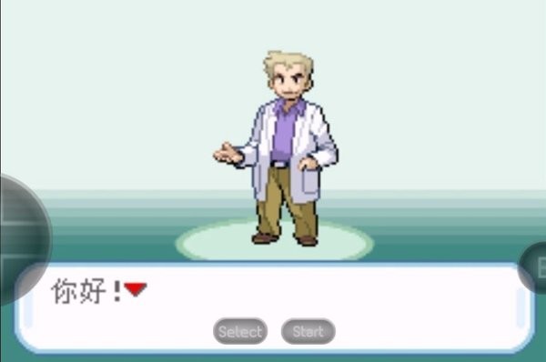 口袋妖怪暗之冰花2014游戏最新版截图3