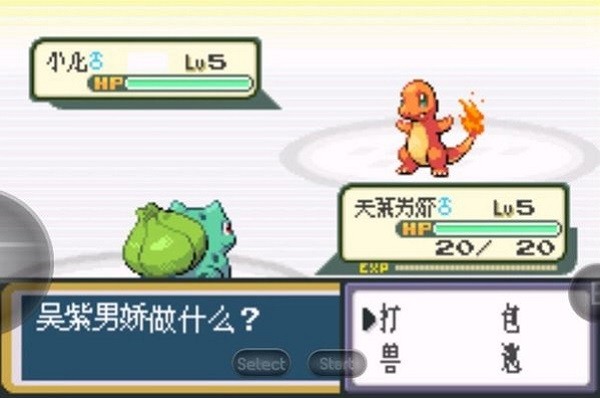 口袋妖怪暗之冰花2014游戏最新版截图4