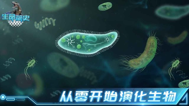 生命简史古生物放置游戏(loe)截图5