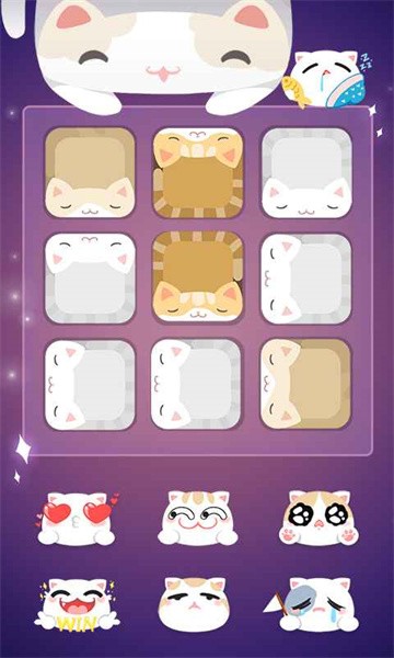 猫多米诺官方版截图2