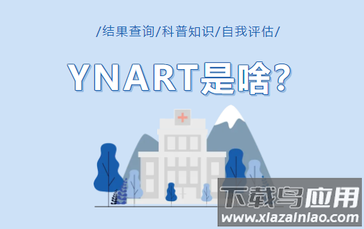 ynart app