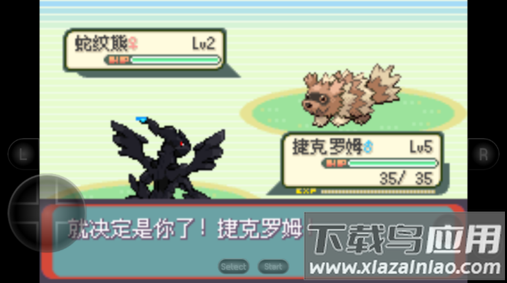 口袋妖怪神兽领域1.5版本最新版截图3