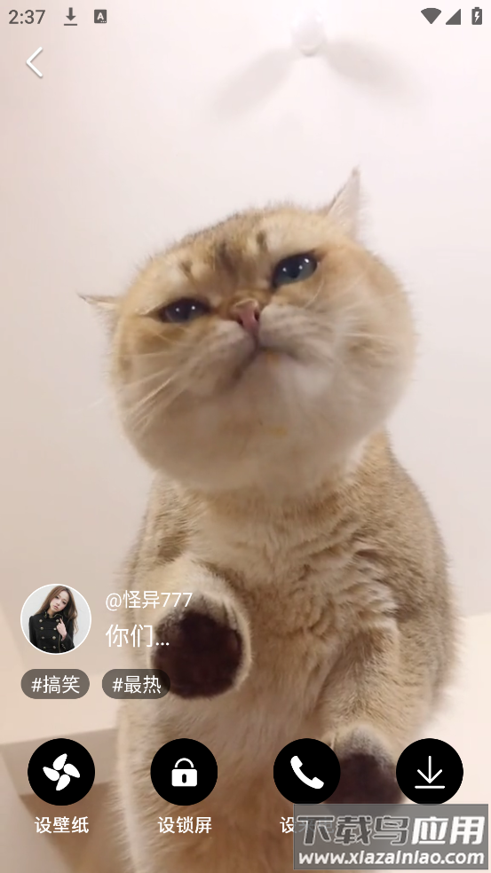 布丁壁纸大全手机版截图3