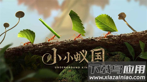 小小蚁国官方下载最新版截图1