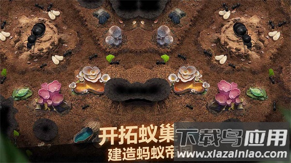 小小蚁国官方下载最新版截图2