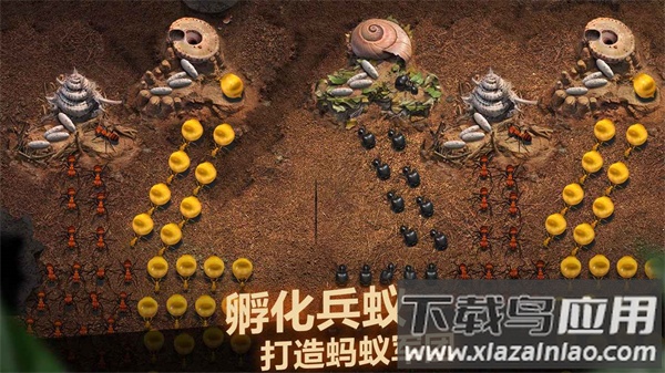 小小蚁国官方下载最新版截图3