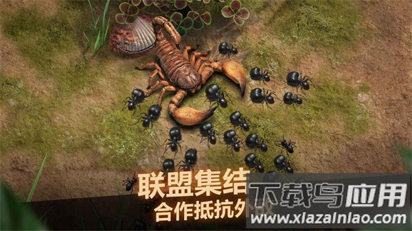 小小蚁国官方下载最新版截图4