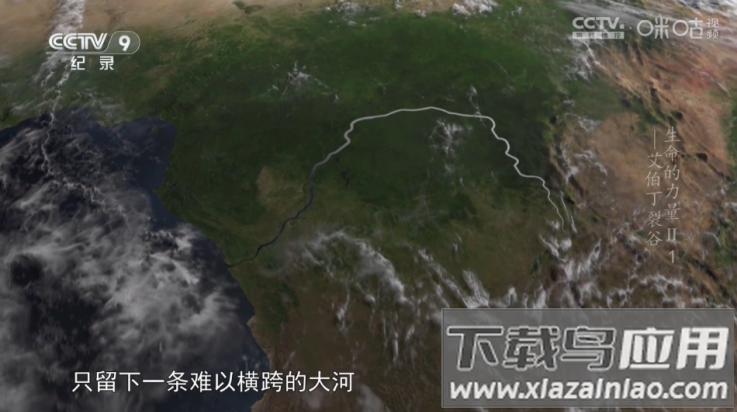 diy直播软件截图4