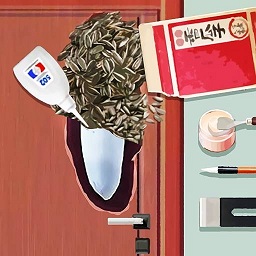 收纳整理达人手游