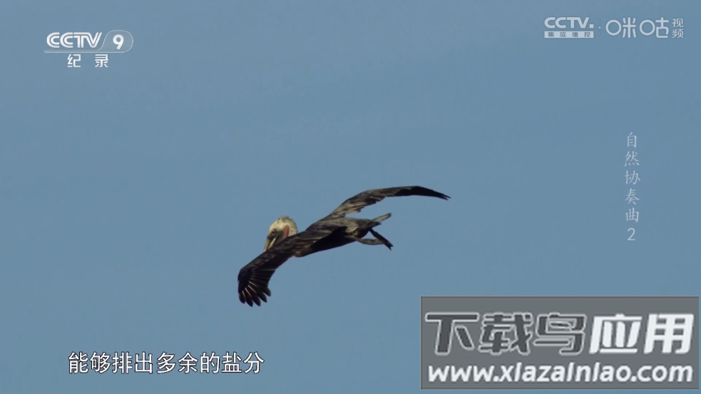 趣看仓BOX电视版最新版截图1