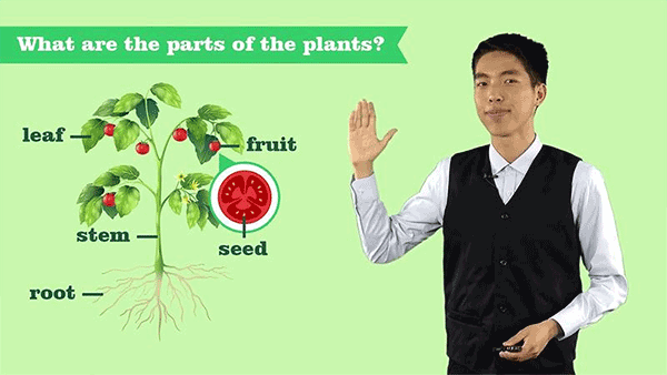 vipchild少儿国际班app最新版截图1