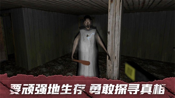 溜出去恐怖老奶奶截图1