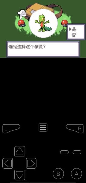 口袋妖怪罪恶的世界特别版最新版截图3