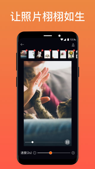 pixaloop官方正版截图1
