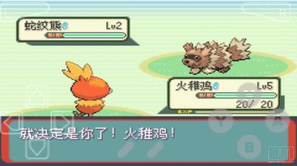 口袋妖怪绿宝石精装版官方正版截图1