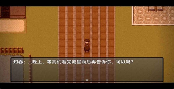 流星降临的小镇来自过去的幽灵最新版截图5