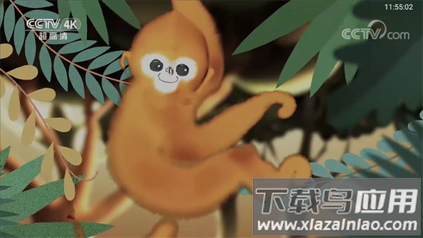 TVBox直播TV版