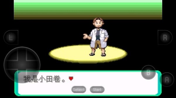 口袋妖怪漆黑的魅影1.5金手指截图