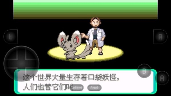 口袋妖怪漆黑的魅影1.5金手指截图