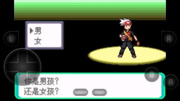 口袋妖怪漆黑的魅影1.5金手指截图