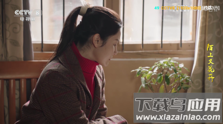 傲雪白梅官方正版下载最新版截图2