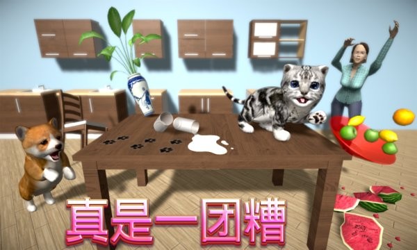 猫咪模拟器最新版本最新版截图3