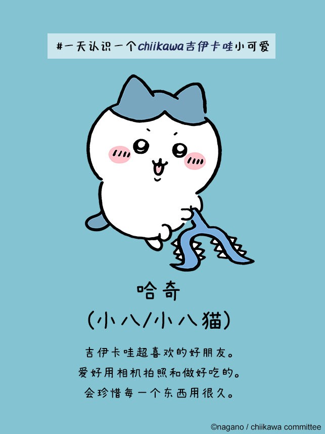 口袋吉伊卡哇国际服