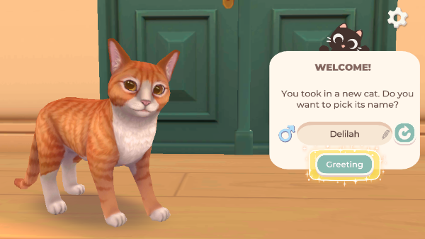 猫咪救援故事手游最新版截图3