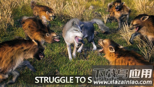 狼族崛起最新版截图2