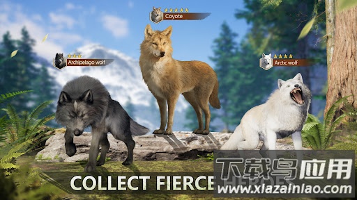 狼族崛起最新版截图3