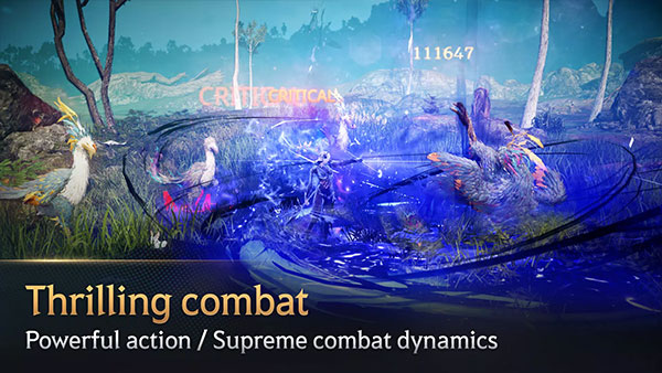 黑色沙漠手游美服截图