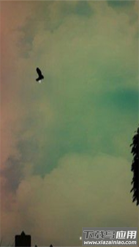 最后的生存岛游戏(最后的生存鸟)最新版截图1