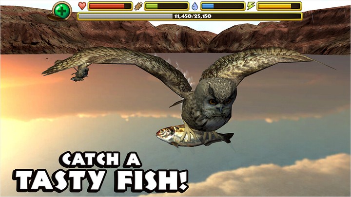 猫头鹰模拟器中文版最新版截图1