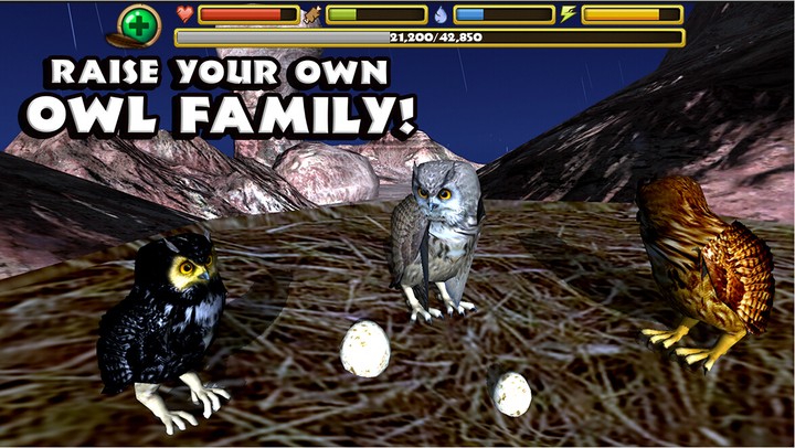 猫头鹰模拟器中文版最新版截图3