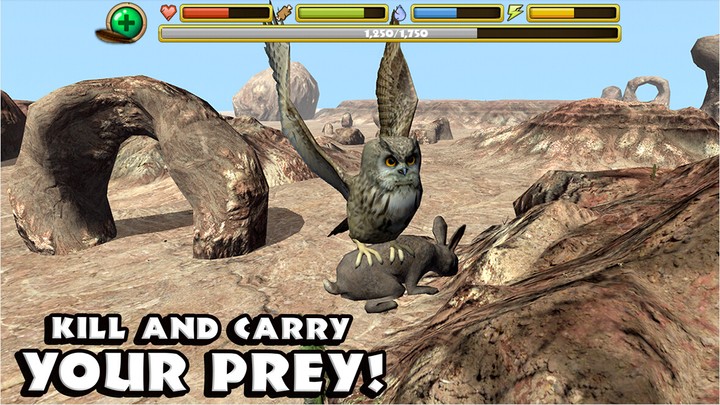 猫头鹰模拟器中文版最新版截图4