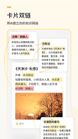 惊叹闪卡笔记app(更名为闪记卡)截图5