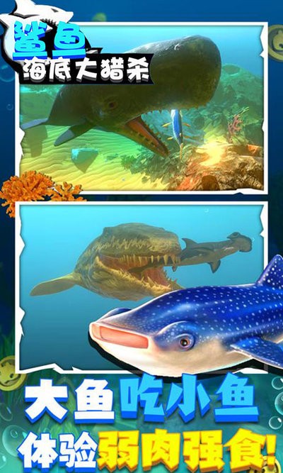 鲨鱼海底大猎杀最新版最新版截图2