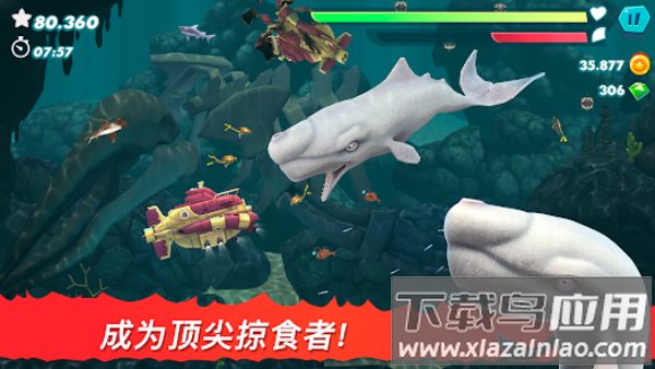饥饿鲨鱼进化最新版本(Hungry Shark)截图4