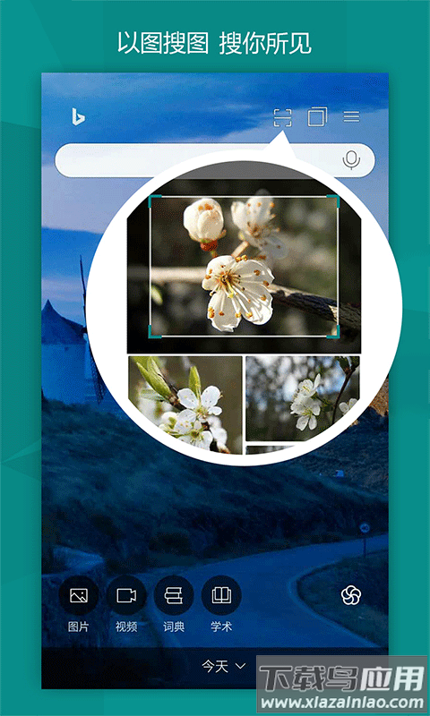 微软必应app最新版截图4