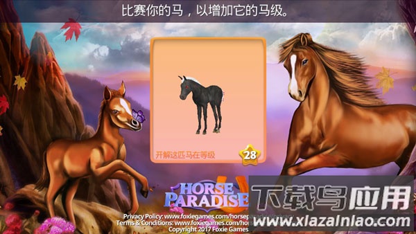 马儿天堂Horse Paradise截图
