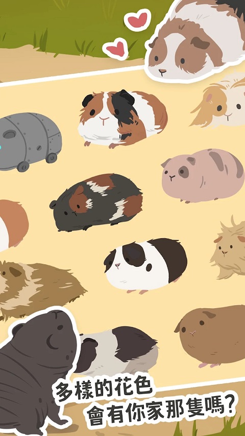 天竺鼠农场最新版本最新版截图3